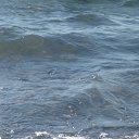 ���� ������, �����, 59 ��� - ��������� 17 ���� 2012 � ������ ���������� ����� - ����� �������