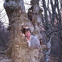 ���� �������, �����������, 53 ���� - ��������� 23 ����� 2012