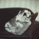 ���� Djss, ������, 59 ��� - ��������� 23 �������� 2011 � ������ ���������