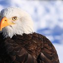 ���� ����������, ������, 64 ���� - ��������� 12 �������� 2012
