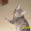 ���� �������, ������, 55 ��� - ��������� 16 ������ 2011 � ������ �������