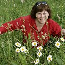  ,  , 52  -  29  2012    