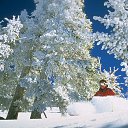 ���� �����, ����� - ��������� 29 ������ 2013 � ������ ���ѻ