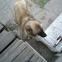 ���� ���������, ����������, 35 ��� - ��������� 26 ������ 2011 � ������ ���������=)�