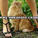 ���� Alex, ������, 38 ��� - ��������� 10 �������� 2012 � ������ ������������ ����������,������������ � ���������� �����.�