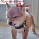 ���� �����, ��������, 44 ���� - ��������� 12 ������ 2010 � ������ �������