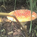 ���� �����, �����-���������, 59 ��� - ��������� 30 ����� 2010 � ������ ��������