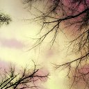 ���� Natal��, ������ ��� - ��������� 19 ������ 2011 � ������ ���� ����������