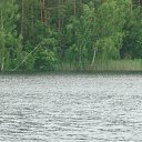  Svyatoslava, , 37  -  9  2013    