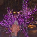 ���� ������, �����������, 54 ���� - ��������� 17 ���� 2013 � ������ ���� ����������