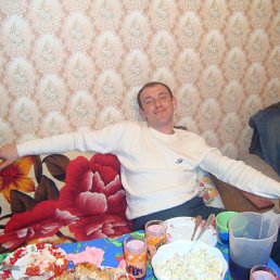 ���� �����, ����, 41 ��� - ��������� 1 ���� 2012