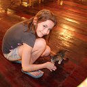 ���� �����, ����, 23 ���� - ��������� 1 ��� 2013 � ������ ���� ����������