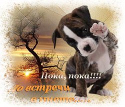 ���� �������, ������, 48 ��� - ��������� 27 ����� 2012
