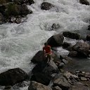 ���� �����, ������, 37 ��� - ��������� 5 ������ 2010 � ������ ���� ����������