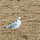 ���� Jola, ���! - ��������� 6 �������� 2012 � ������ �������