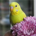 ���� �������, ������ - ��������� 13 ������ 2012 � ������ �������