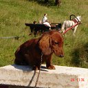 ���� &deg;&bull;*������&deg;&bull;*, ����������, 23 ���� - ��������� 3 ���� 2010 � ������ ��������!�