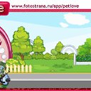���� ����, ������, 49 ��� - ��������� 24 ������� 2010