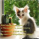 ���� �����, ������, 48 ��� - ��������� 12 ������� 2013 � ������ ���� ����������