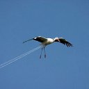 ���� �����, ������� - ��������� 20 ������� 2012 � ������ ���� ����������