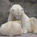 ���� Helen, ������ - ��������� 12 ��� 2013 � ������ �������