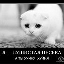 ���� 28 �� ������, �������� - ��������� 5 ��� 2013 � ������ �Love Questions�