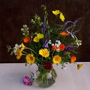 ���� ������, ������, 55 ��� - ��������� 9 ������ 2012 � ������ �������