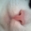  , , 83  -  27  2010   ʻ