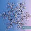 ���� �������, ������, 41 ��� - ��������� 9 ������� 2009 � ������ ���������