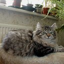  Eili, , 63  -  9  2010   PetLove