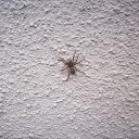 ���� ����, ����������� - ��������� 7 ������ 2010 � ������ �������