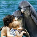 ���� �������� �������� �� � �� �������., ������, 64 ���� - ��������� 19 ������ 2012