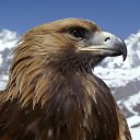 ���� ������, �����, 39 ��� - ��������� 4 ������� 2012