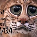 ���� �����, ������, 47 ��� - ��������� 6 ����� 2013 � ������ ���� ����������