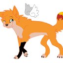 ���� �����, ������ - ��������� 10 ������� 2012 � ������ ������ / Foxy�