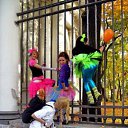 ���� ��������, �����-��������� - ��������� 24 ������� 2010 � ������ ���������� �����������