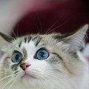   ( - !), , 59  -  13  2013     