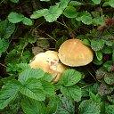  , --, 47  -  25  2013    