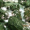 ���� ������, �����������, 42 ���� - ��������� 20 ������� 2011 � ������ ��������