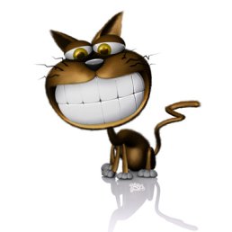 ���� �����, ��������������, 41 ��� - ��������� 2 ����� 2011