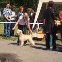 ���� ����, ����, 33 ���� - ��������� 13 ����� 2012 � ������ ���� ����������