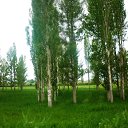 ���� �����, ����� - ��������� 6 ���� 2013 � ������ �������