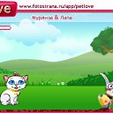  , , 59  -  15  2010   PetLove