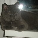 ���� �������, ��������, 45 ��� - ��������� 19 ������� 2010 � ������ ���� ������� �������