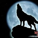 ���������� ��� ������ � ���������� ������� http://vkontakte.ru/app1713637