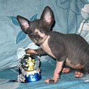 ���� ������, �����-���������, 47 ��� - ��������� 16 ������ 2011 � ������ ������� 2011�