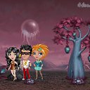 � �� ������� �Tropikania�