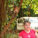 ���� ���������, ������ ��������, 49 ��� - ��������� 30 ������ 2012 � ������ ���� ����������