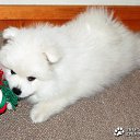  Lika,  -  3  2010      :)