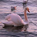 ���� �����, ����� - ��������� 29 ������ 2013 � ������ �������